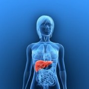 Hepatitis related image